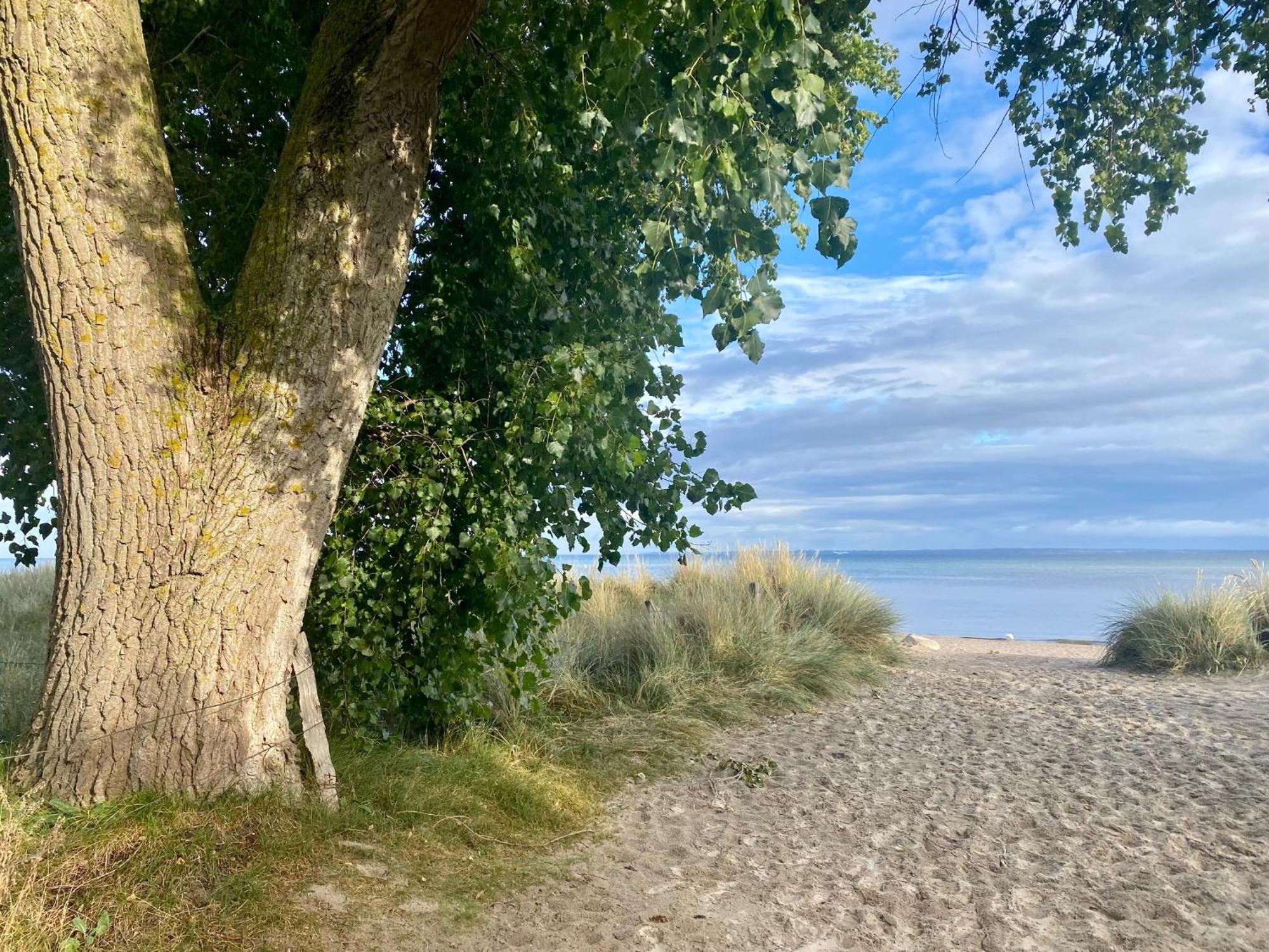 Feriendorf Suedstrand Haus 35 佩尔泽哈肯 外观 照片